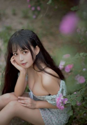 高清视频免费观看