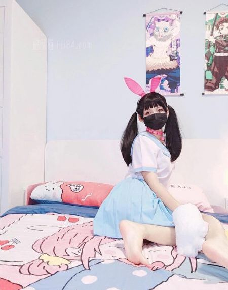 电视剧家有九凤全集在线观看