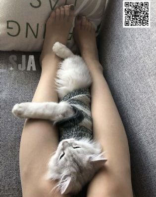 女囚监狱