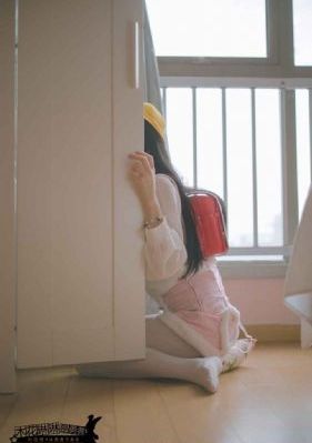 龙之家族 电视剧