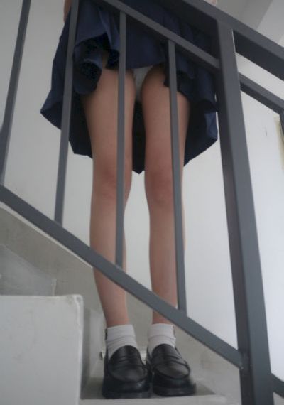 天乩之白蛇传说全集免费观看