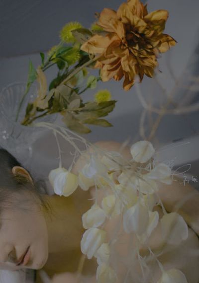 美女网站免费观看