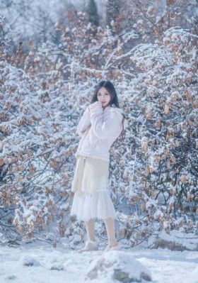 天意 电视剧